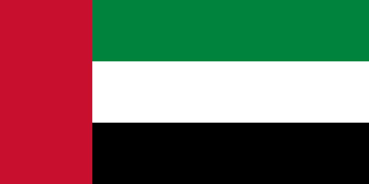 UAE Flag logo
